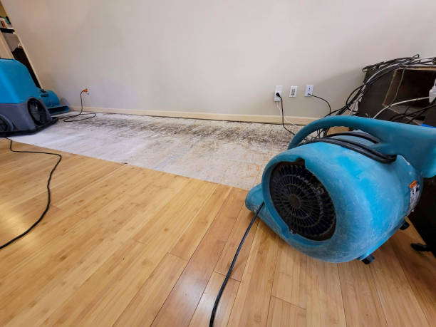 Professional Emergency Water Damage technician working in Alexandria, SD